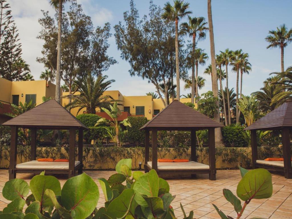 Pachi Beach Atlantic Garden Corralejo Exterior photo