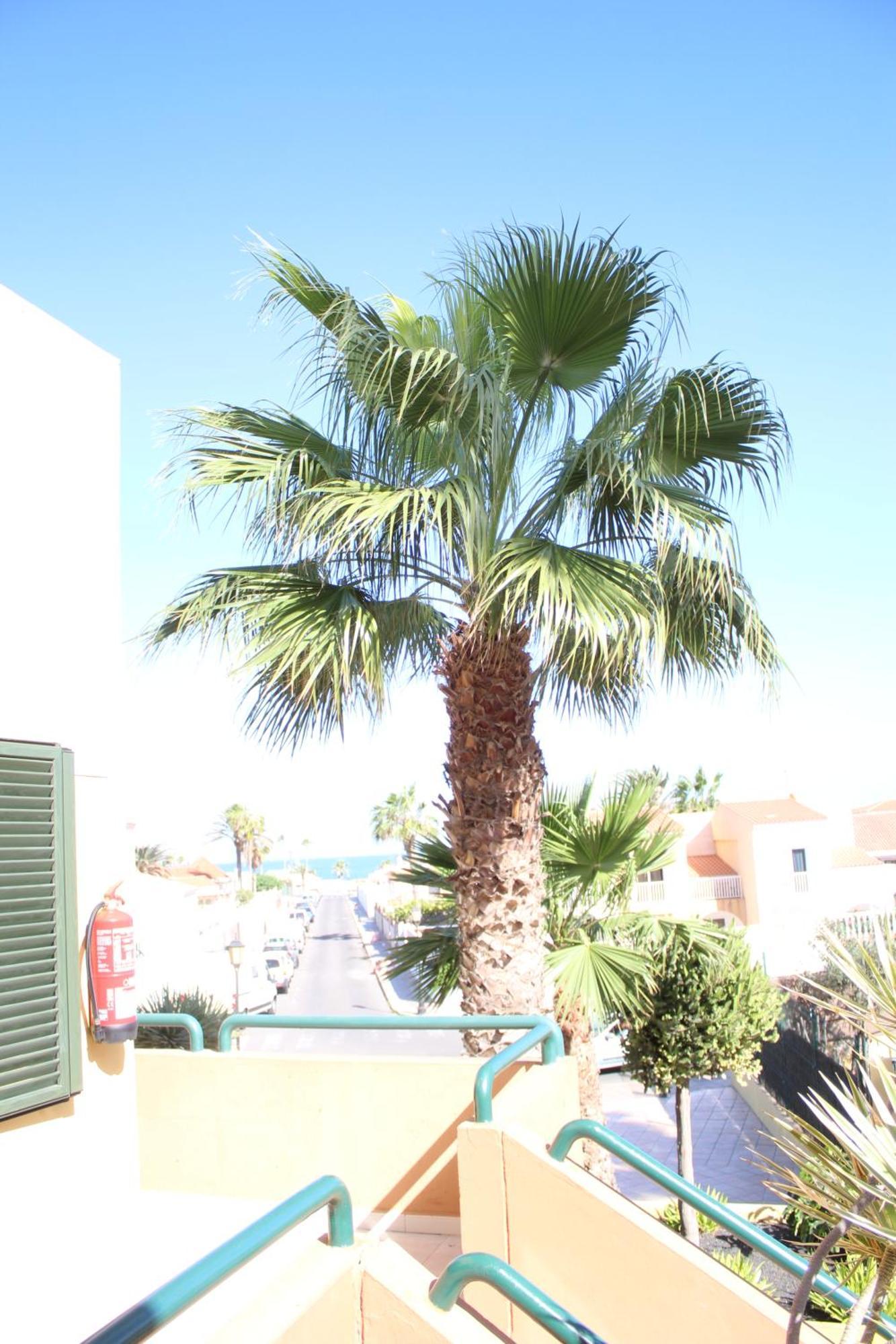 Pachi Beach Atlantic Garden Corralejo Exterior photo